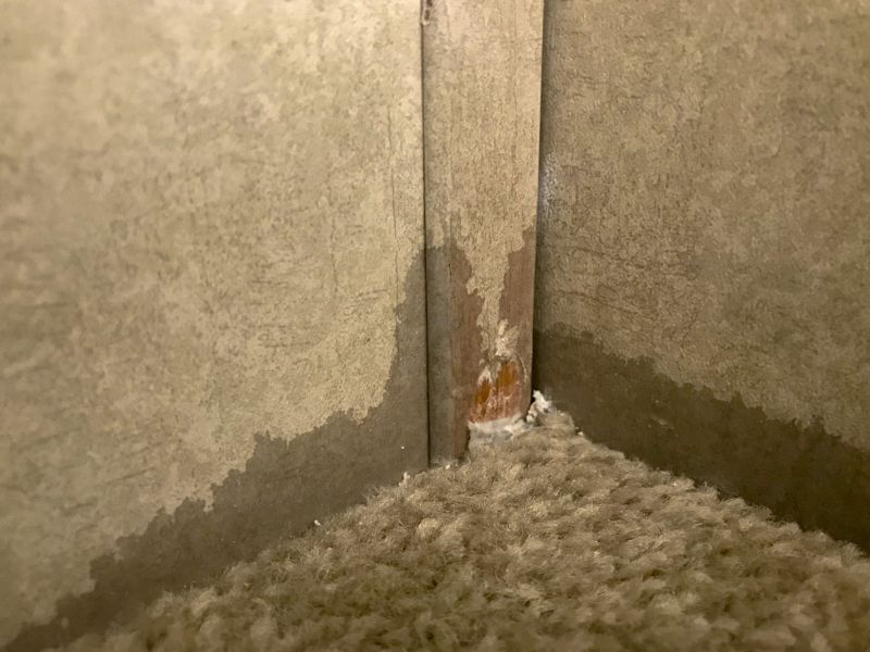 Basement Carpet Repair in Alpharetta, GA