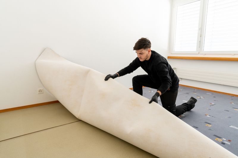 Basement Carpet Stretching in Freehold, NJ