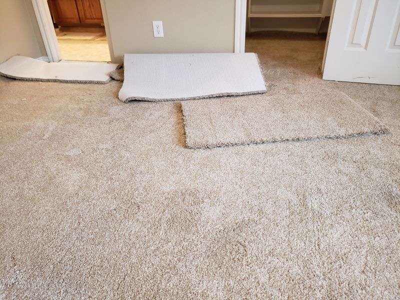 Carpet Foam Replacement in Overland Park, KS