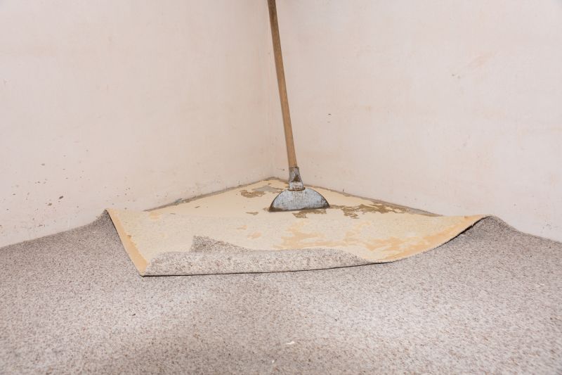 Carpet Repair Service in Littleton, CO