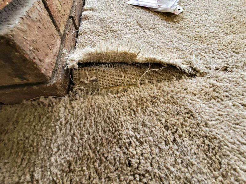 Commercial Carpet Repair in Olathe, KS